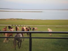 -呼和诺尔旅游景区