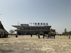 -哈素海