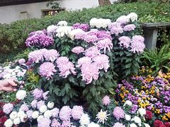 -杭州植物园