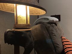 -泰迈·影院式足道SPA(世纪大道店)