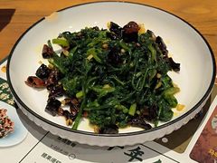 -树厨贵州菜(花果园购物中心店)