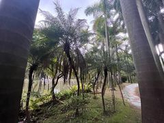 -滴水岩森林公园