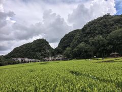 -高荡千年布依古寨旅游景区