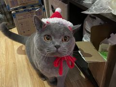 -壹人壹像工作室(购物公园店)