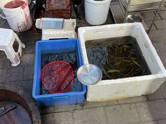 -铜元老码头鳝鱼火锅