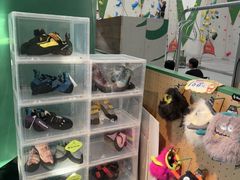 -绿壁虎攀岩基地(Tcar店)