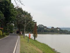 -美的鹭湖森林度假区