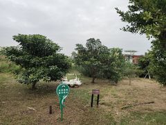 -芒洲湿地公园