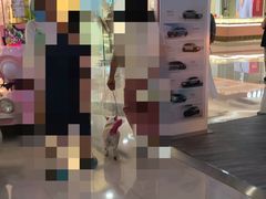 -万达广场(松江店)