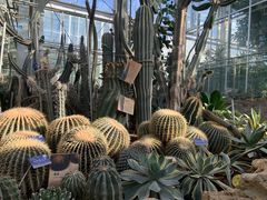 -北京植物园-展览温室