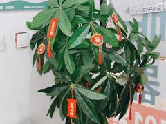 -自然之声助听器·呼吸机(和平店)