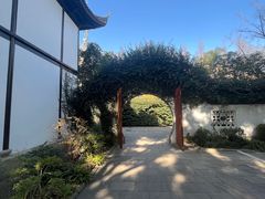 -上海醉白池公园