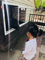 -蓝可可亲子乐园(北苑店)