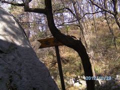 -鲁山国家森林公园