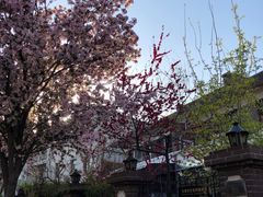 -王天木旧居(潜伏谍报博物馆)