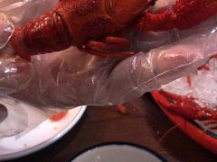 -虾弄弄海派小龙虾·牛羊蝎子火锅