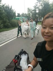 点击看大图 -唯一视觉婚纱摄影(李家村店)