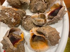 本地大海螺-老胶东家常菜馆(市场一路店)