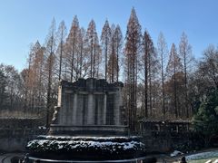 -音乐台