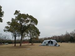 -上海滨江森林公园
