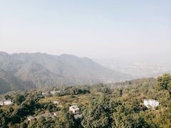 -南山植物园