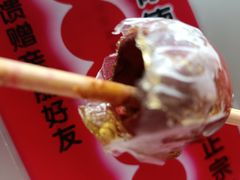 -和禄德冰糖葫芦