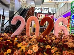 -吾悦广场(天津和平店)