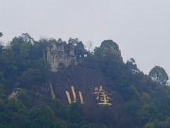 -南山植物园