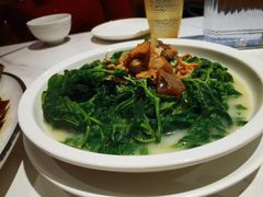 -香港深井掂檔烧鹅茶餐厅(海韵城店)