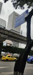 点击看大图 -痣缘宫