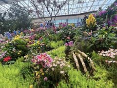-沈阳植物园