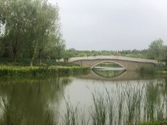 -东郊湿地公园