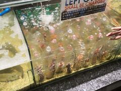 -Isla Sugbu Seafood City