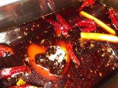 -渡娘火锅(大兴大悦春风里店)