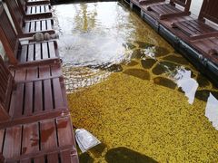 -凤翔首邑温泉度假村