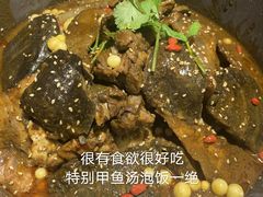 湖塘甲鱼-甲大帅·甲鱼·椰子鸡主题餐厅(唐家店)