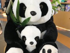 -昆明动物园
