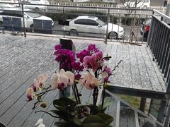 -小河盐帮·私家菜·烤鸭(三元桥·霄云路店)