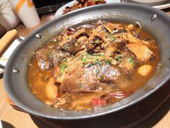 砂锅碟鱼头-吕氏疙瘩汤·新鲁菜(济南万象城店)