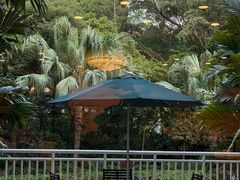 -麒麟中餐厅·经典粤菜·地道菜式老字号(广州长隆酒店)