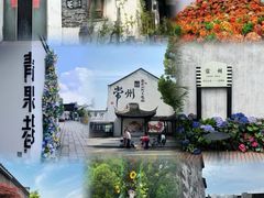 -青果巷历史文化街区