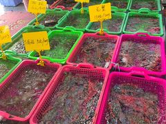 -众味海鲜大排档·活海鲜·潮汕味(南澳店)