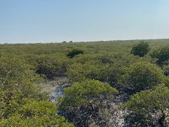 -北海金海湾红树林生态旅游区