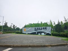 -洨河生态公园