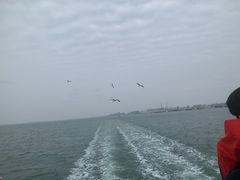 -青岛第二海水浴场