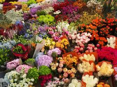 -双季花艺园艺市场(浦东店)