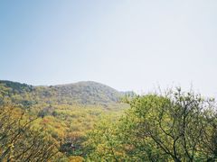 -句容茅山景区