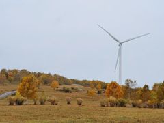 -塞罕坝国家级自然保护区