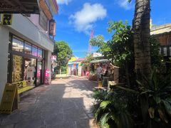 -美国村