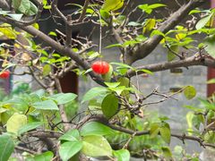 -聚福宝合苑食府(南头镇店)